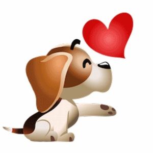 Meet your Posher, Gi